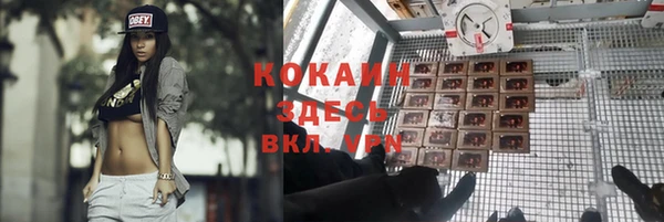 метадон Новодвинск