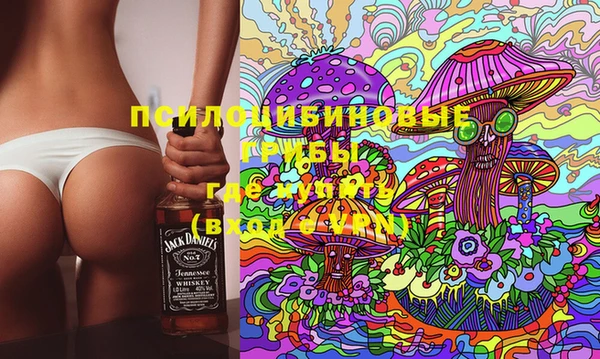 ешки Новокубанск