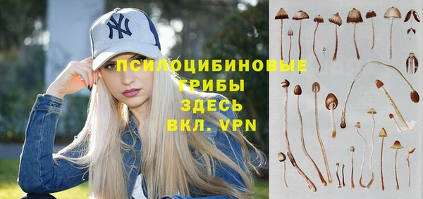метадон Новодвинск