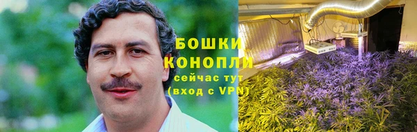 метадон Новодвинск